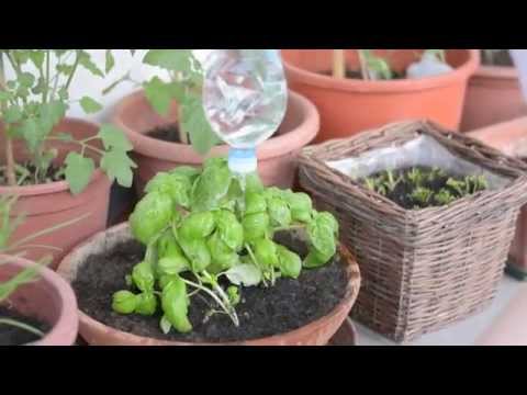 Gießkanne für Kinder basteln - Plastikflaschen recyceln