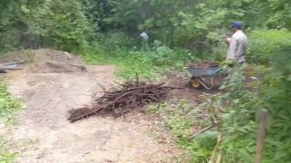 Рослесхоз. Уборка леса от мусора и колодцев