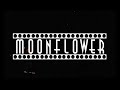 Moonflower - Little John (Troubadoors Live)