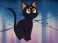 Sailor Moon Clasica Ep.35 2/2 Espa�ol Latino