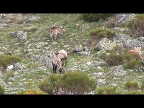 Imagen de previsualización de YouTube