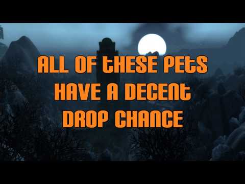 Making Gold In Burning Crusade Raids - New Battle Pets - Dubisttot