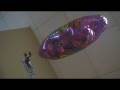 Flying Scorpion