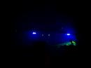 inside out at the arches