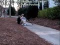 See video