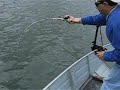 big bass no capivari