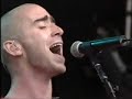 Pinkpop 1997 le freaks Pinkpop 1997 le freaks