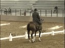 Working Equitation Gernot Weber Dresssur EM Italy 2008