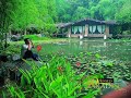 Mohsen chavoshi (toye-shahry-ke to nisty)