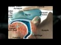 West Los Angeles Chiroprator Provides Relief From Arthritis Pain