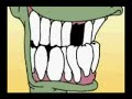 crazy frogs you must see!