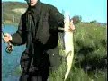 Brochet à La Mouche (streamer)
