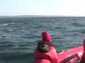aug 17, 2008 330 trip unedited stock footage