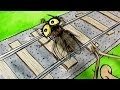 Tortures for Flies: Train Set