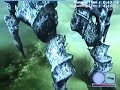 SOTC agro jumping 101
