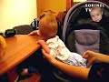Sorinel-se-ridica-di
