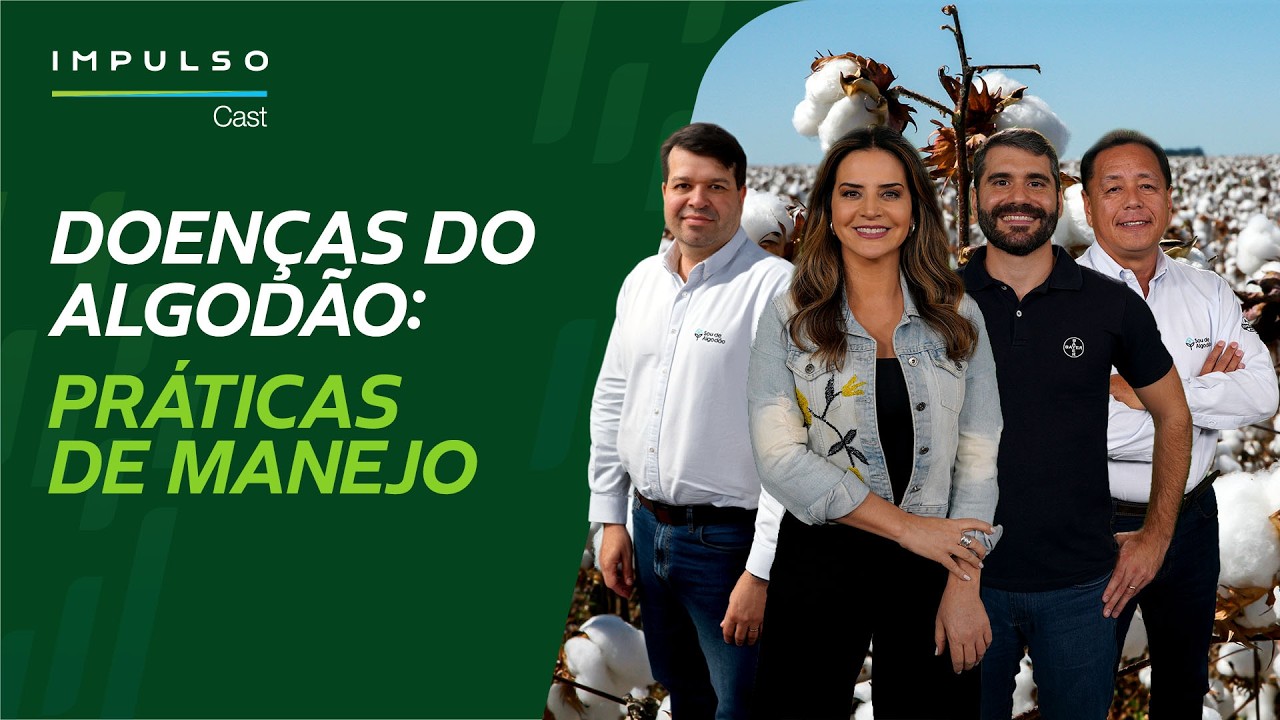Algodão: estratégias eficientes no manejo de doenças | Impulso Cast EP. 42