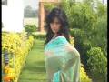 Multicolour Pure Georgette Saree with Blouse