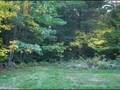 Real Estate 59 Walnut Hill Road, Shapleigh, ME