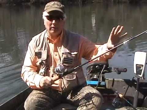 trout 101