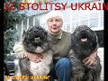 КАВКАЗСКИЕ ОВЧАРКИ.