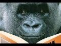 KIDS' SONG -- Monty Miller, Smart Gorilla -- READING IS FUN!