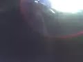 la loba trulala