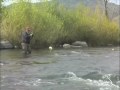 Czech Nymphing The Provo—Utah Fly Guides