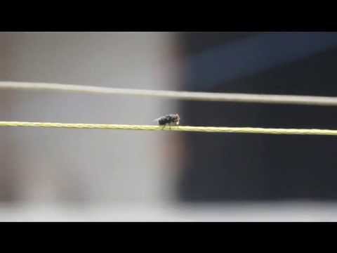 2013-06-05 - Bps 攝影社「新增內容!」
