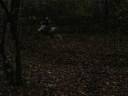 Enduro Wiry-Powiew Zimy!