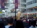sifu Fei Tai Chi/ Tai ji