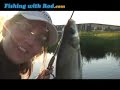 Danish Coarse Fish