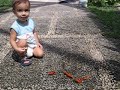 Lucas no Mangal das Gar�as