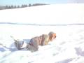 videos de Paddynounet Salto + Gamelle