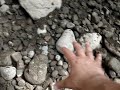 Weird Weired Riffle