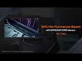 How to Boost EXPO DDR5 Performance on AM5 Platform|AORUS 101