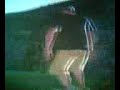 Bug Skate. PS3