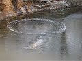 Rattray Marsh \"Creek Circle\"
