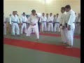 Deashi harai Deashi harai