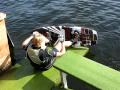 Grusia wakeboard