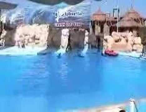 Watch video Watch video