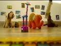 Circo para coatl