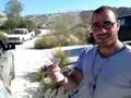 videos de O Stelios Aselgei Pano Stis Petres Tou Giannou (Part 1)