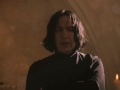 Chipmunk Snape
