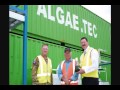 ABC Illawarra Mornings: Algae.Tec