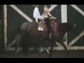 JWT Hez A Looker  2003 AQHA ( GREY )