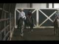 JWT Hez A Looker 2003 AQHA ( GREY )