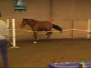 Cheif Mait K, hopp Cheif Mait K, hopp