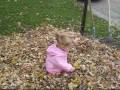 Playing in the leaves