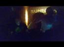 SUNBURN 2008 & SYNA DJ-SET :: 12.07.2008